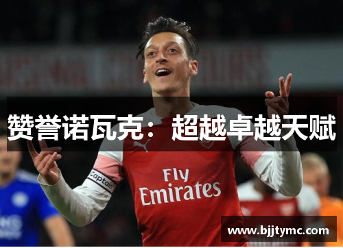 赞誉诺瓦克：超越卓越天赋